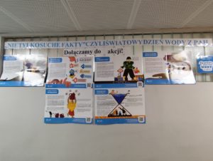 zdjęcie 12