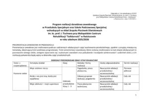 Program realizacji doradztwa zawodowego SP 2025-2026